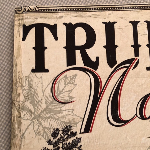 STRETCHED CANVAS WALL ART 15” x 15” “TRUE NORTH STRONG AND FREE” - OS013 - Picture 4 of 10